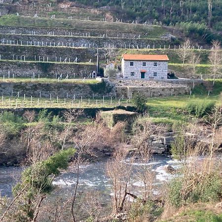 Quinta De Varzielas - Agroturismo Castelo de Paiva Extérieur photo