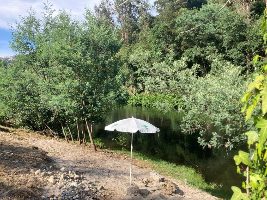 Quinta De Varzielas - Agroturismo Castelo de Paiva Extérieur photo