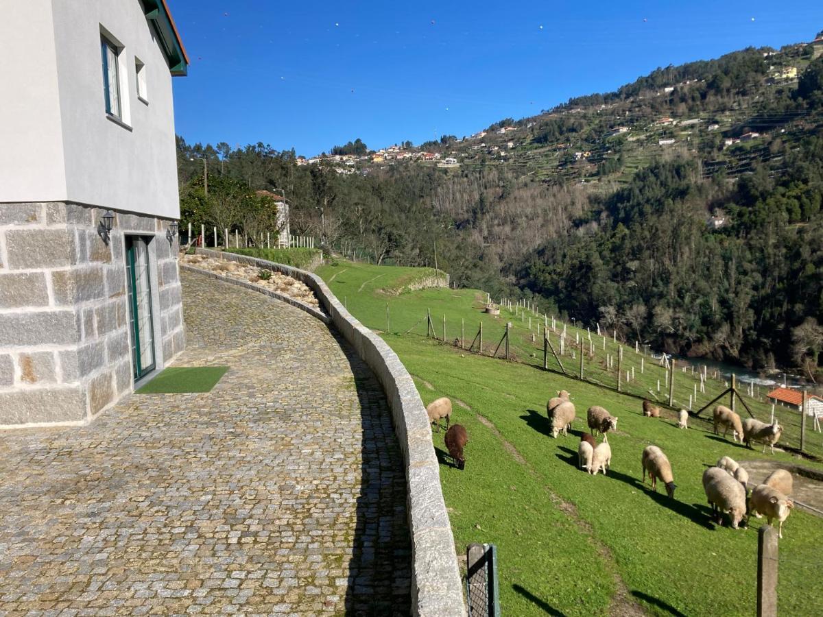 Quinta De Varzielas - Agroturismo Castelo de Paiva Extérieur photo