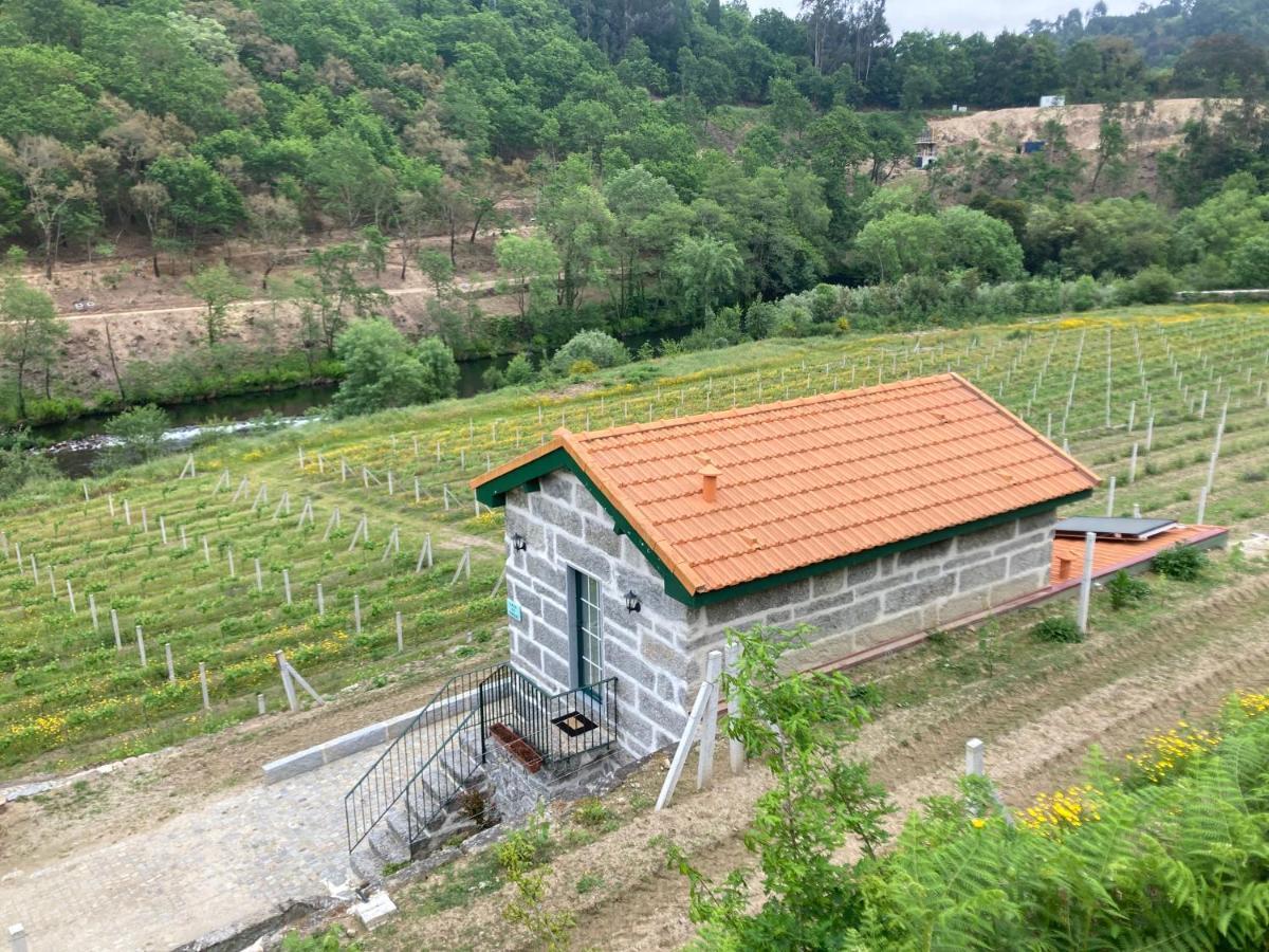 Quinta De Varzielas - Agroturismo Castelo de Paiva Extérieur photo