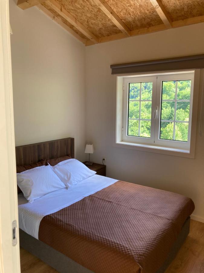 Quinta De Varzielas - Agroturismo Castelo de Paiva Extérieur photo